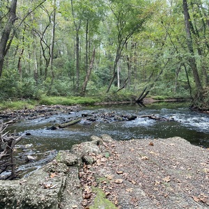 Fundraising Page: Leslie Reyes